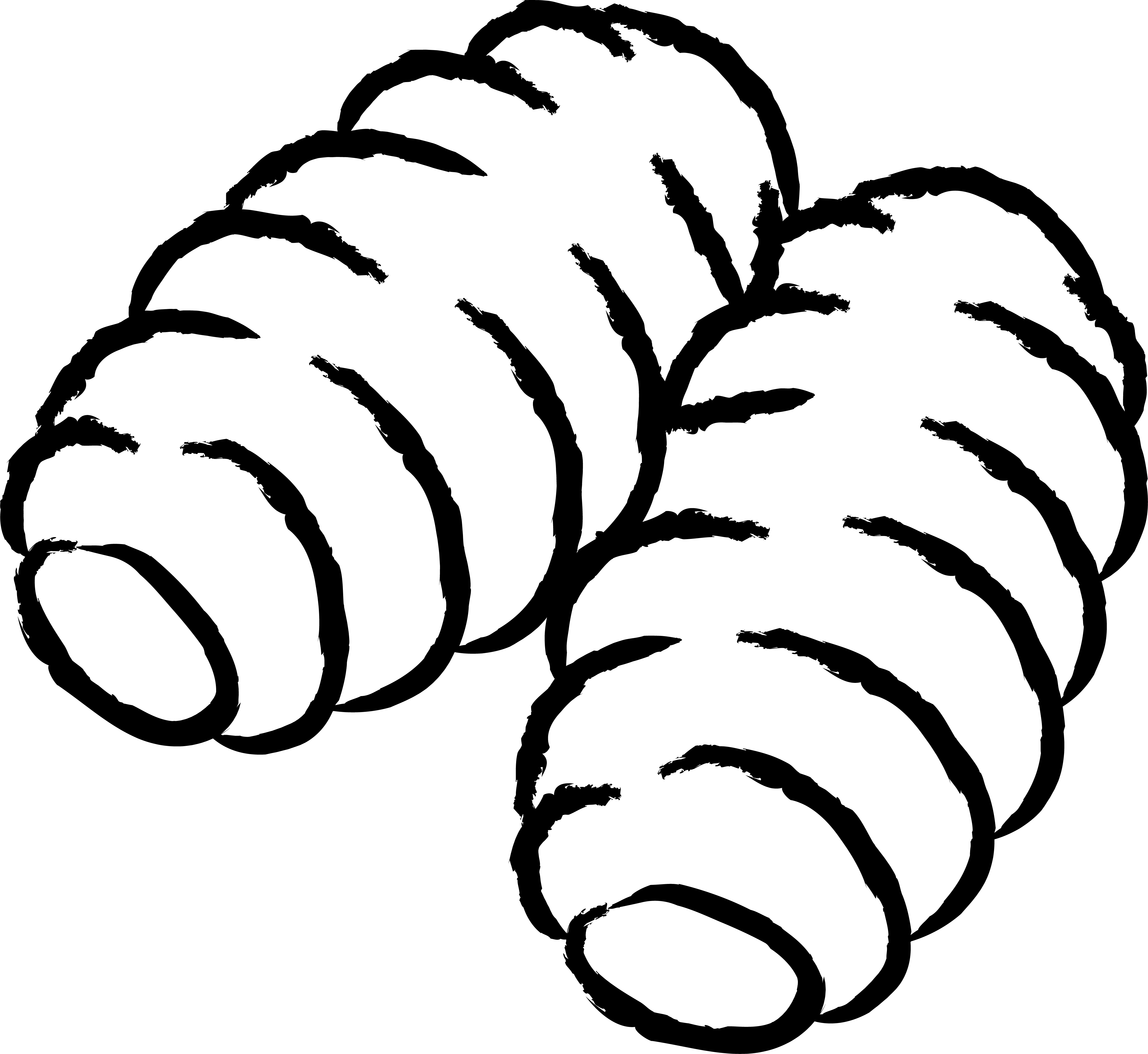 Gnocchella-miami-png